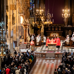 2025 Karfreitag / Erzdiözese Wien/Schönlaub