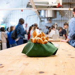 Klemensfest 2024 / Erzdiözese Wien/Schönlaub