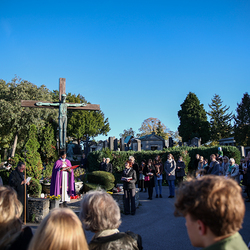 Erzdiözese Wien/Schönlaub