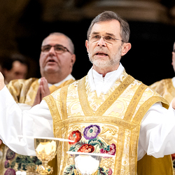 Allerheiligen Stephansdom / Erzdiözese Wien/Schönlaub, Stephan Schönlaub Allerheiligen Stephansdom