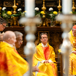 Priesterjubiläen / Erzdiözese Wien/Schönlaub
