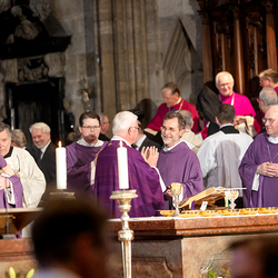 Stephansdom: Österreich nahm Abschied von Papst Franziskus / Erzdiözese Wien/ Schönlaub, Stephan Schönlaub Stephansdom: Österreich nahm Abschied von Papst Franziskus