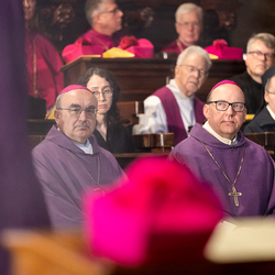 Stephansdom: Österreich nahm Abschied von Papst Franziskus / Erzdiözese Wien/ Schönlaub, Stephan Schönlaub Stephansdom: Österreich nahm Abschied von Papst Franziskus