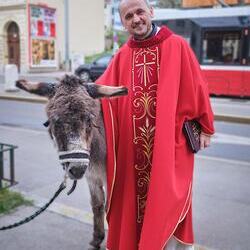 Palmsonntag Pfarre Heilige Mutter Teresa / Erzdiözese Wien/Feuchtner