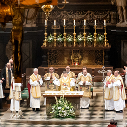 Allerheiligen Stephansdom / Erzdiözese Wien/Schönlaub, Stephan Schönlaub Allerheiligen Stephansdom