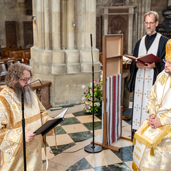 Priesterweihe Byzantinischer Ritus im Stephansdom / Erzdiözese Wien/ Schönlaub