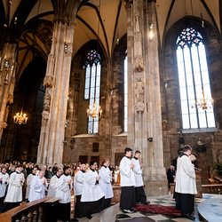 2025 Karfreitag / Erzdiözese Wien/Schönlaub