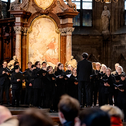 2025 Karfreitag / Erzdiözese Wien/Schönlaub