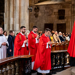 2025 Karfreitag / Erzdiözese Wien/Schönlaub