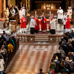 2025 Karfreitag / Erzdiözese Wien/Schönlaub