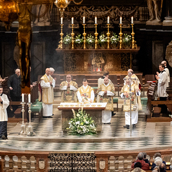 Allerheiligen Stephansdom / Erzdiözese Wien/Schönlaub, Stephan Schönlaub Allerheiligen Stephansdom